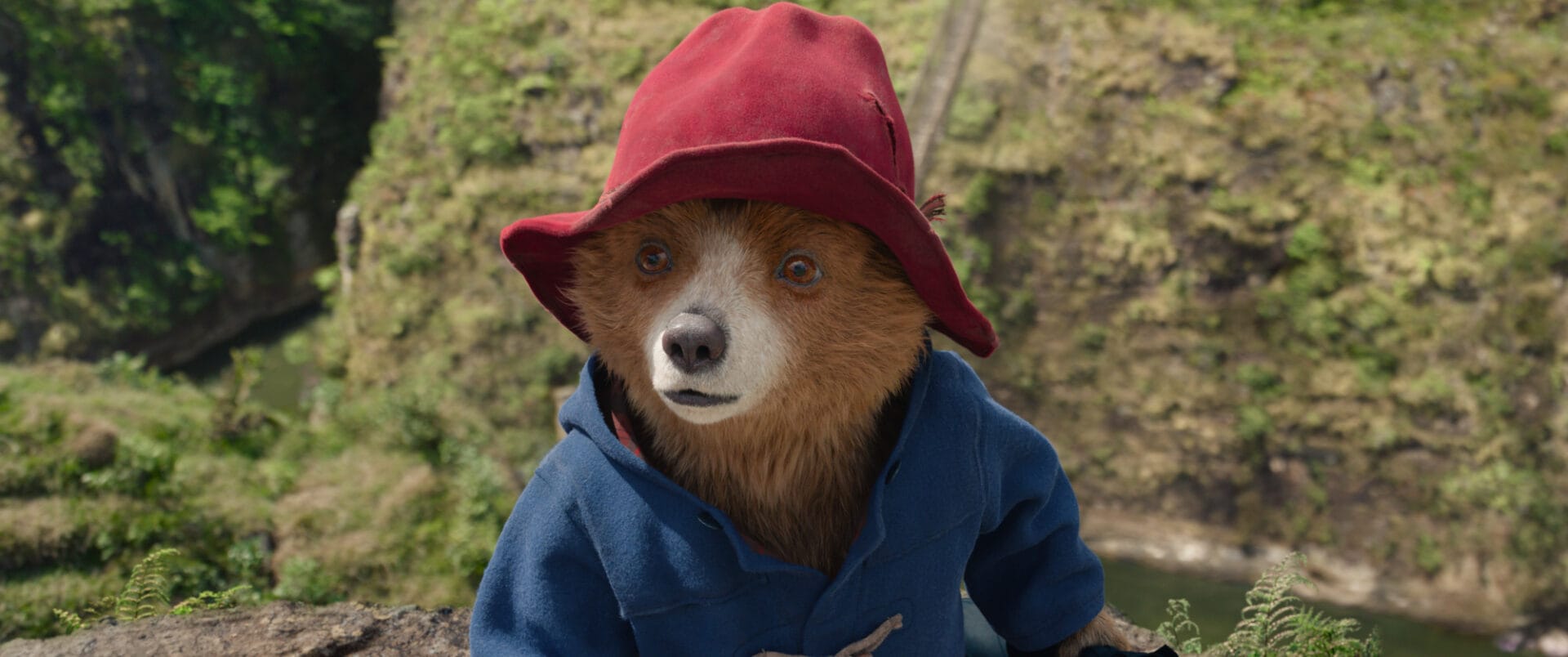 Paddington w Peru