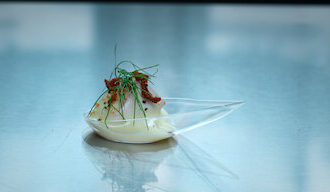 Next Gen Chef Debuts