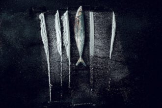 Przypływ: Niewiarygodna historia Rabo de Peixe