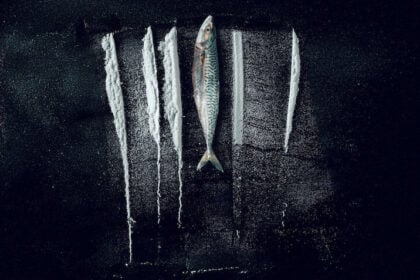 Przypływ: Niewiarygodna historia Rabo de Peixe