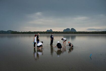 Giacomo d’Orlando, Sikao Bay, Thailand
